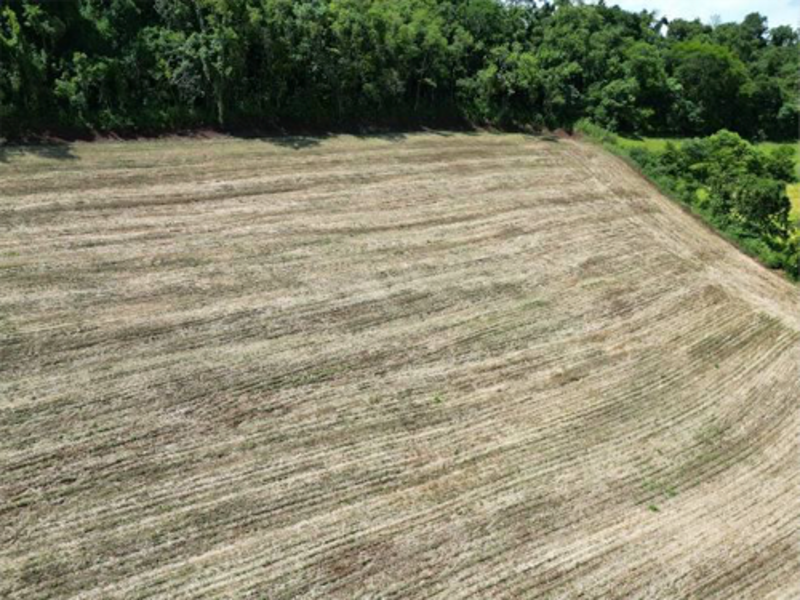 Terreno - Jardinópolis - SC, localizado em Jardinópolis - SC