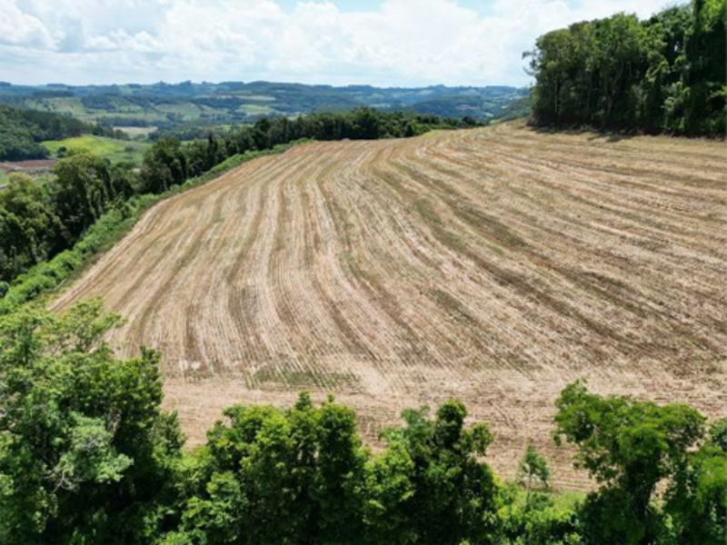 Terreno - Jardinópolis - SC, localizado em Jardinópolis - SC