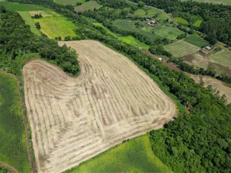 Terreno - Jardinópolis - SC, localizado em Jardinópolis - SC