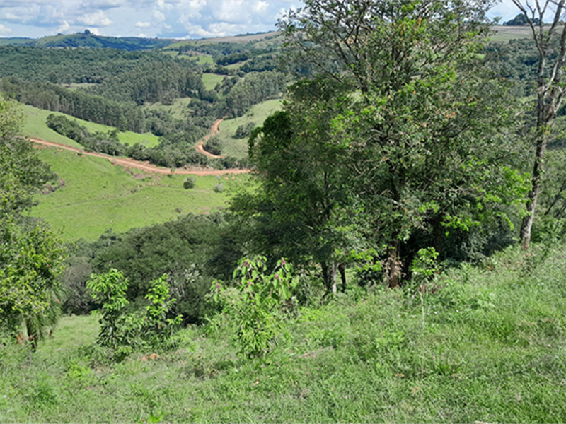 Imagem do imóvel Terreno - Marquinho - PR