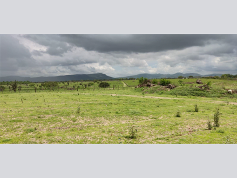 Imagem do imóvel Terreno - Santa Teresinha - BA