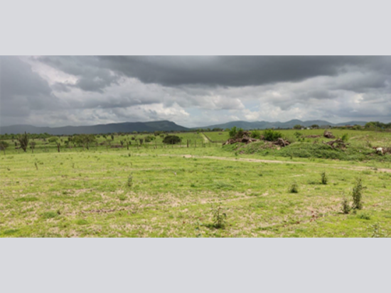 Terreno - Santa Teresinha - BA