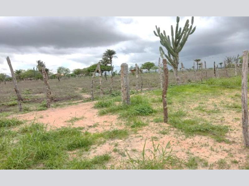 Terreno - Santa Teresinha - BA, localizado em Santa Terezinha - BA