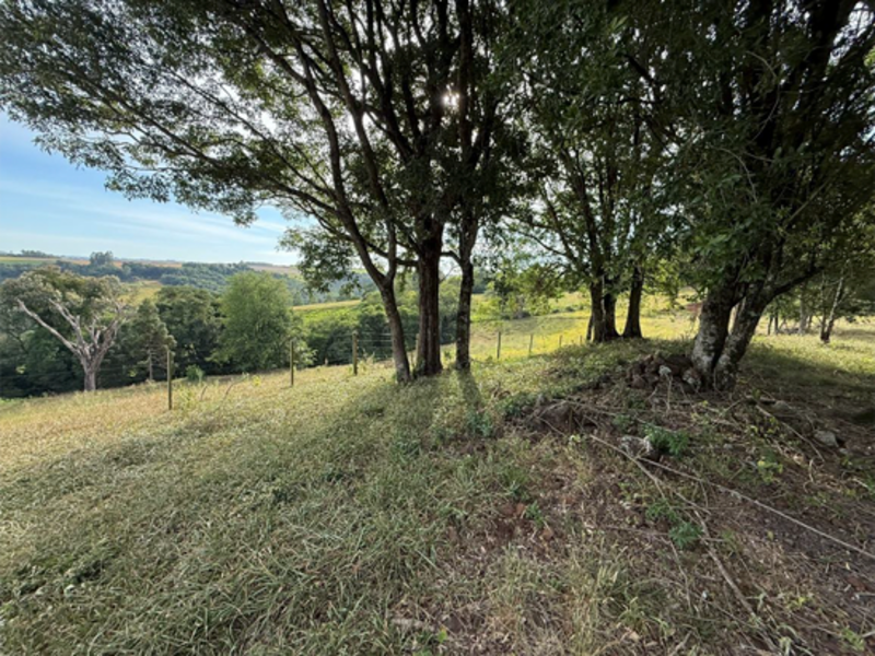Chacará - Bandeirante - SC, localizado em São Miguel Do Oeste - SC