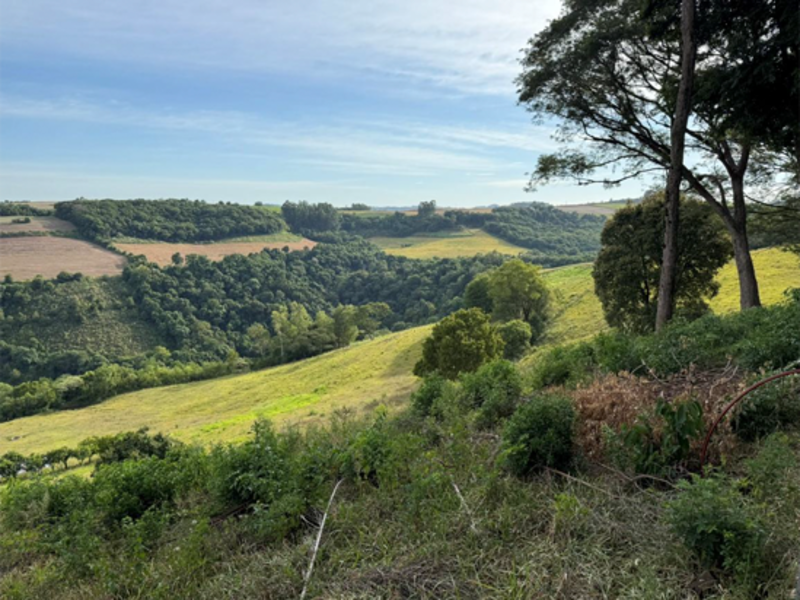 Chacará - Bandeirante - SC, localizado em São Miguel Do Oeste - SC