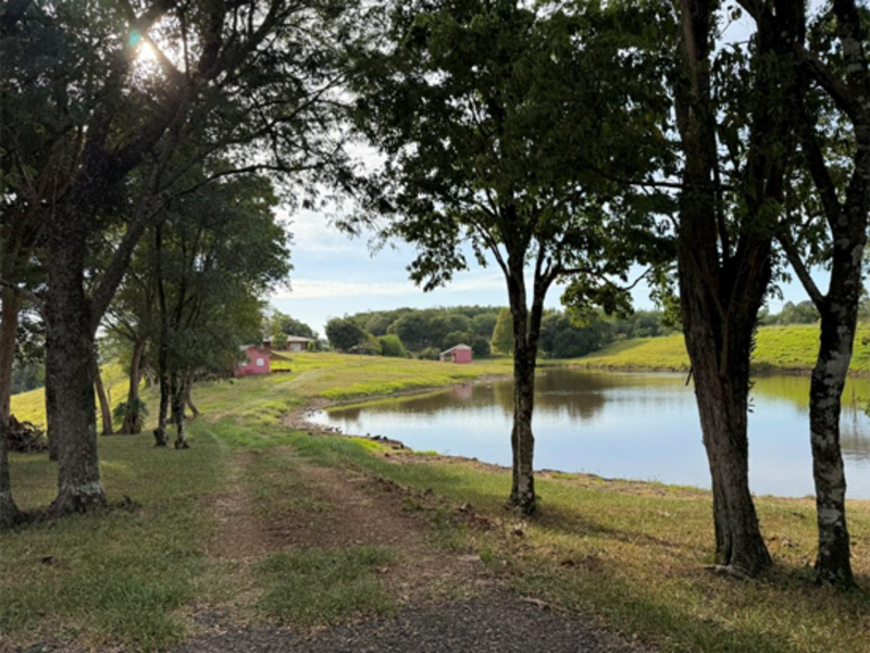 Chacará - Bandeirante - SC, localizado em São Miguel Do Oeste - SC
