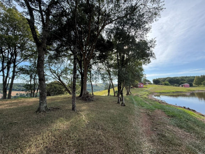 Chacará - Bandeirante - SC, localizado em São Miguel Do Oeste - SC