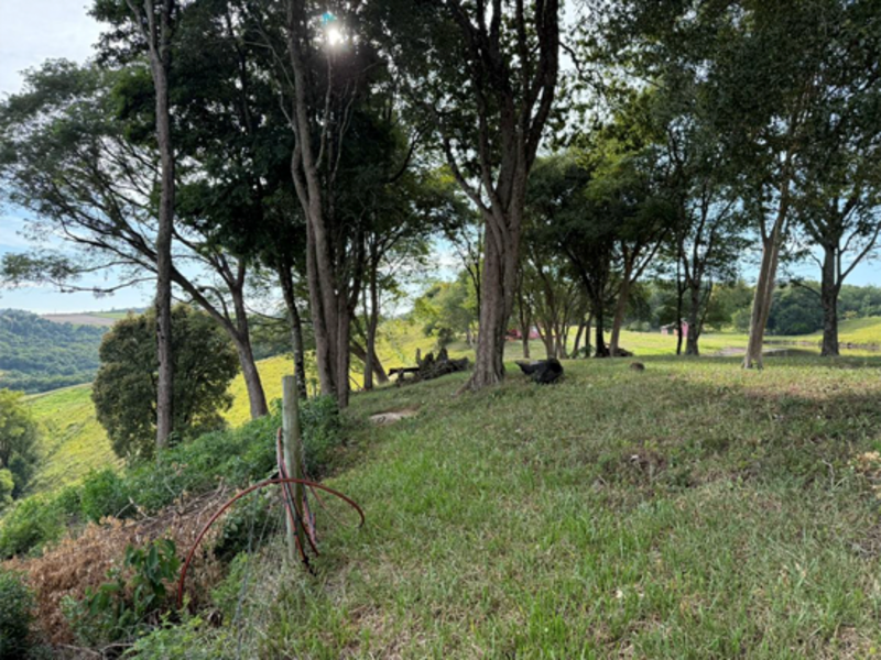 Chacará - Bandeirante - SC, localizado em São Miguel Do Oeste - SC