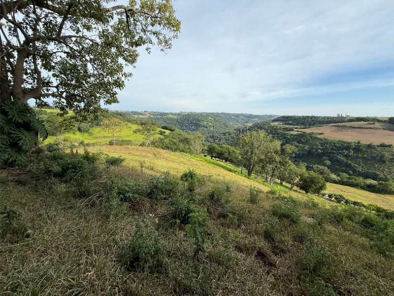 Chacará - Bandeirante - SC, localizado em São Miguel Do Oeste - SC