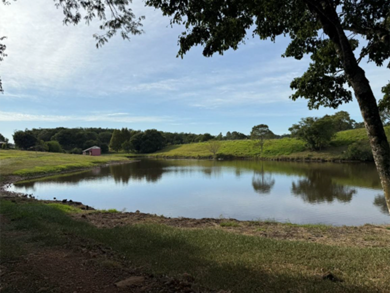 Chacará - Bandeirante - SC, localizado em São Miguel Do Oeste - SC