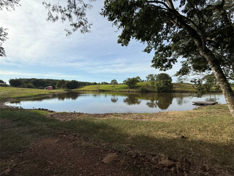 Chacará - Bandeirante - SC, localizado em São Miguel Do Oeste - SC