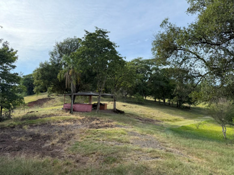 Chacará - Bandeirante - SC, localizado em São Miguel Do Oeste - SC
