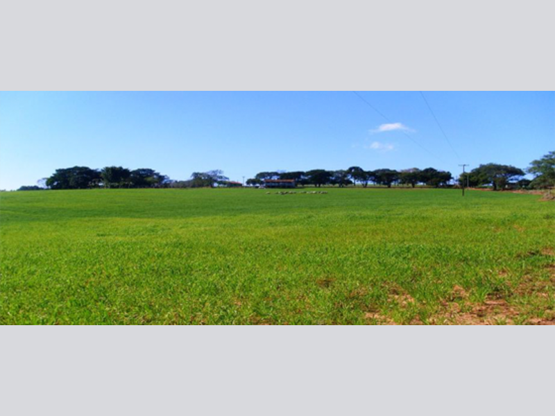 Imagem do imóvel Terreno - Wenceslau Braz - PR