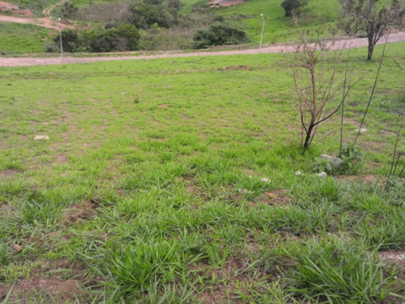 Terreno Cambuí MG, localizado em Cambuí - MG, bairro Lagoa das Garças