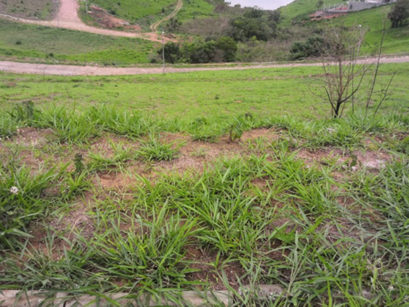 Terreno Cambuí MG, localizado em Cambuí - MG, bairro Lagoa das Garças