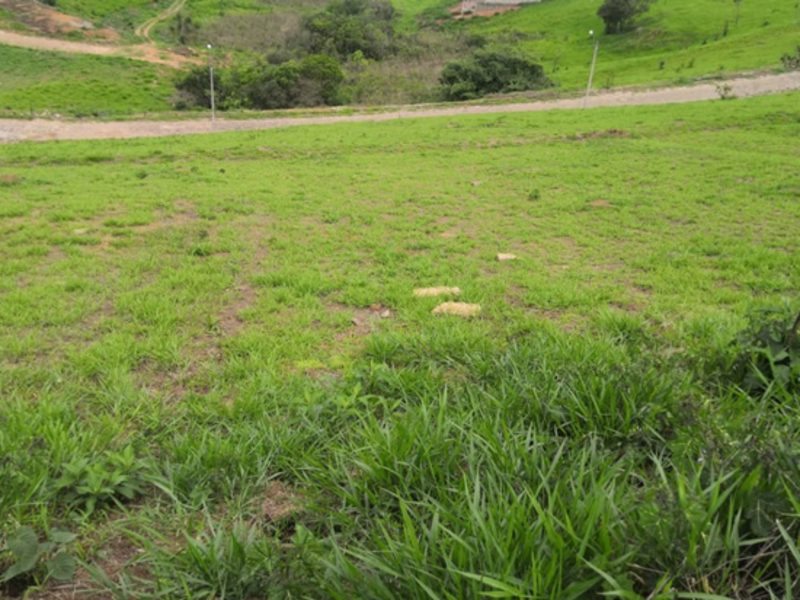 Terreno Cambuí MG, localizado em Cambuí - MG, bairro Lagoa das Garças