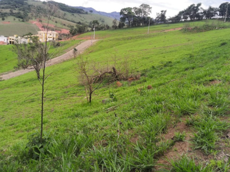 Terreno Cambuí MG, localizado em Cambuí - MG, bairro Lagoa das Garças