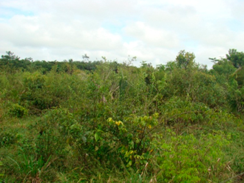 Terreno Juruena MT, localizado em Juruena - MT