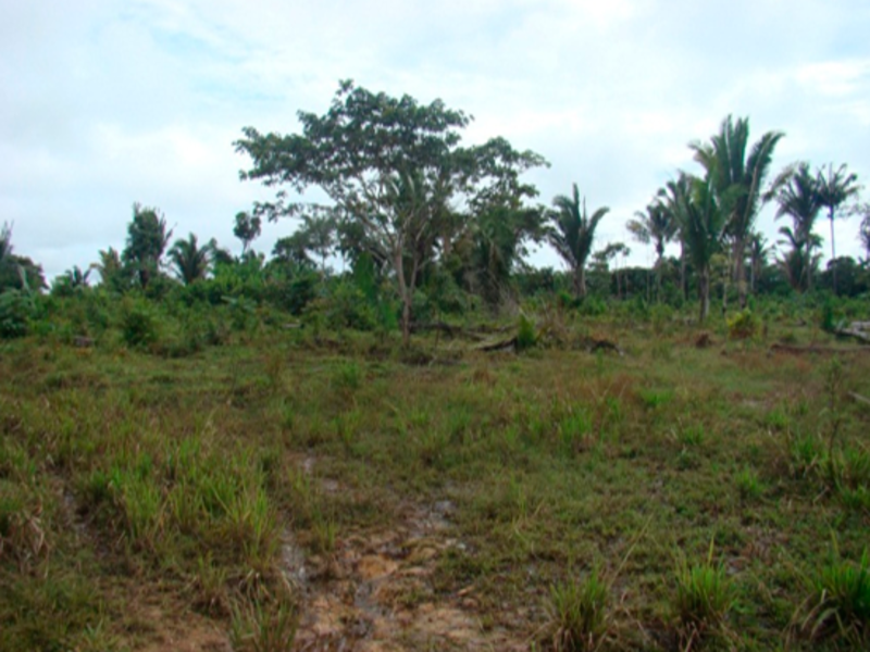 Terreno Juruena MT, localizado em Juruena - MT