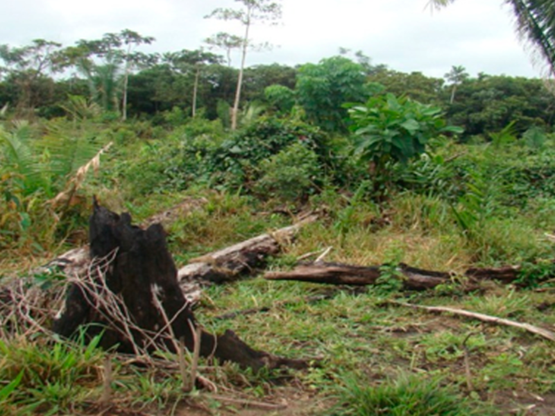 Terreno Juruena MT, localizado em Juruena - MT