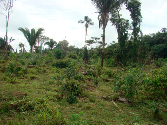 Terreno Juruena MT