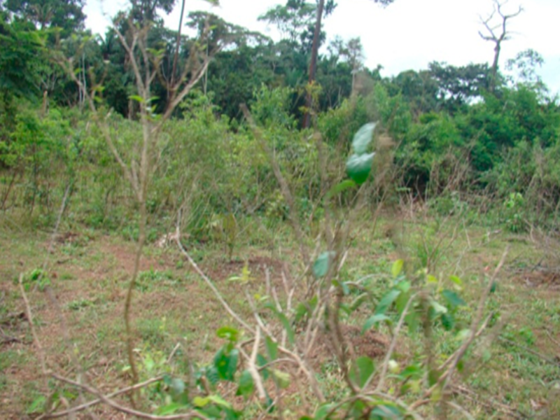 Terreno Juruena MT, localizado em Juruena - MT