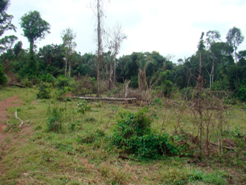 Terreno Juruena MT, localizado em Juruena - MT