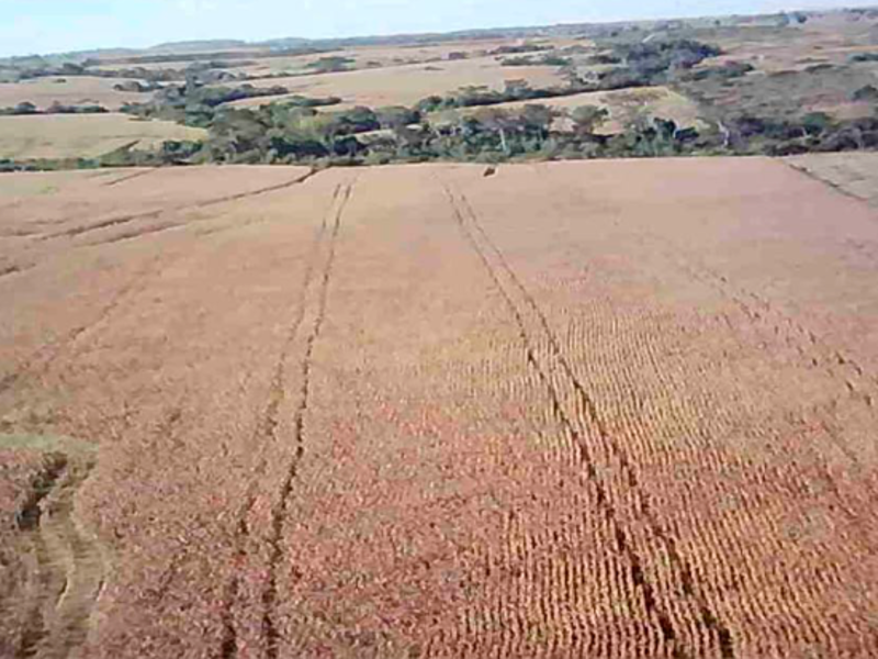 Imagem do imóvel Terreno - Nova Guarita - MT