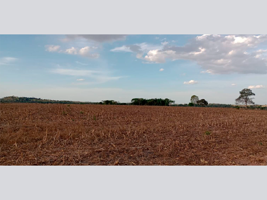 Terreno - Nova Guarita - MT