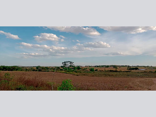 Terreno - Nova Guarita - MT