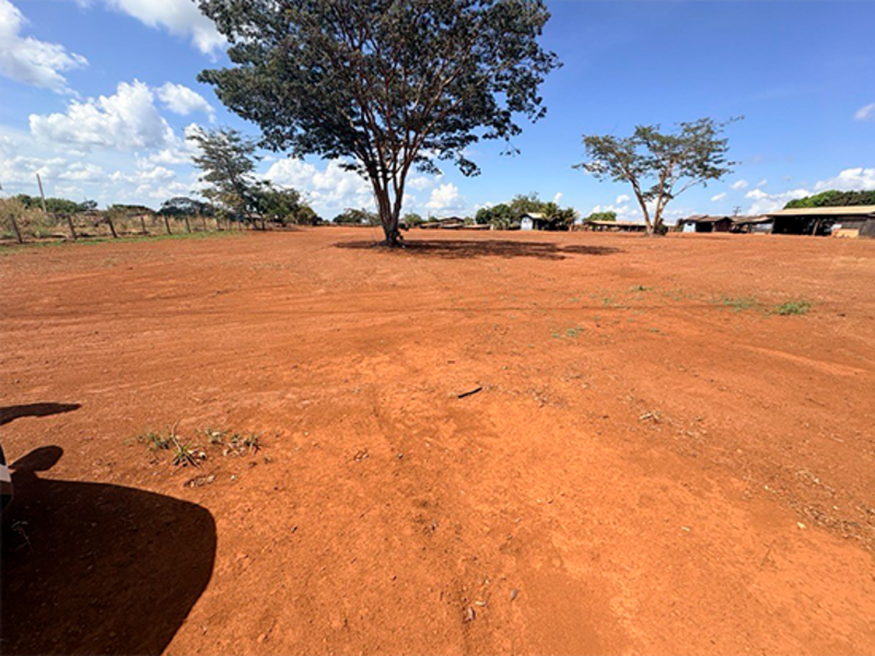 Imagem do imóvel Terreno - Itaúba - MT