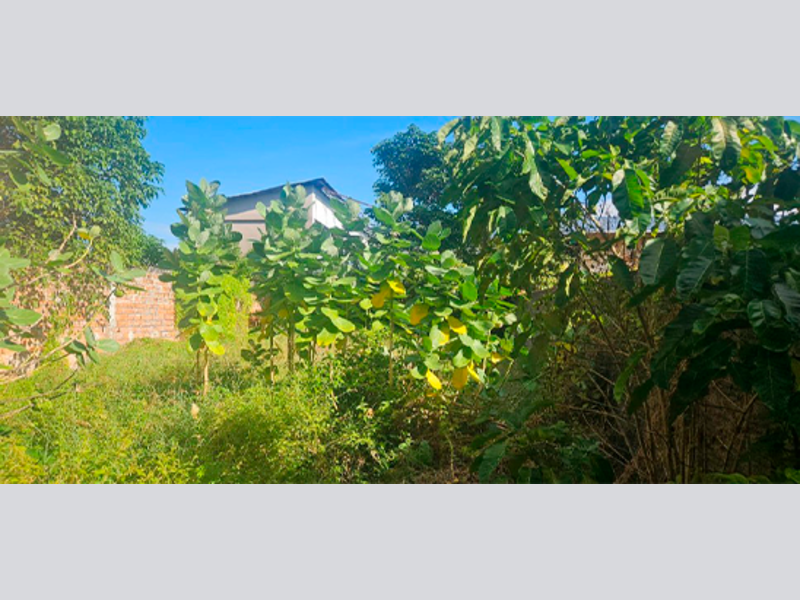 Prédio - Monte Alegre - PA, localizado em Monte Alegre - PA, bairro Serra Ocidental