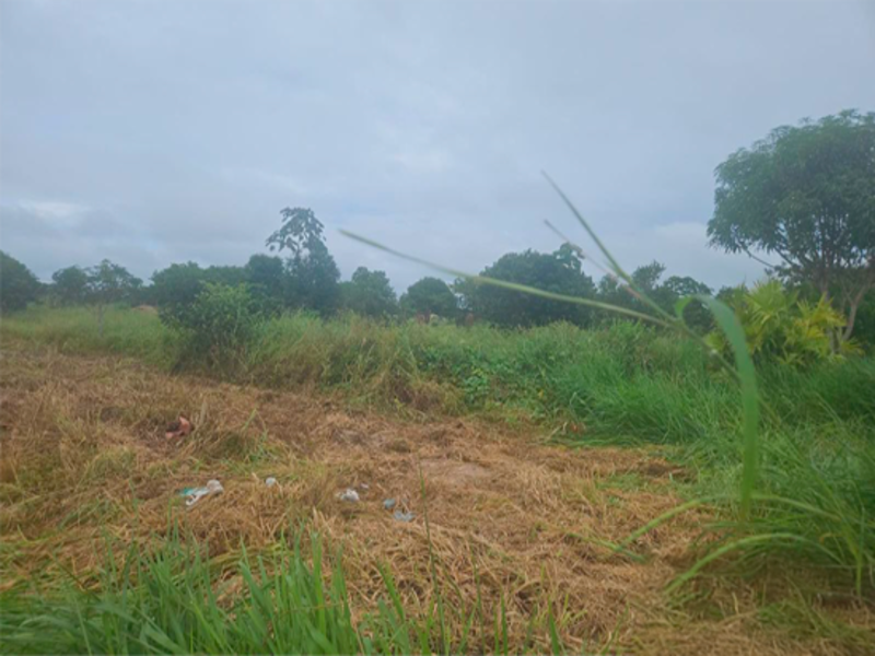 Terreno - Rurópolis - PA, localizado em Rurópolis - PA, bairro Aeroporto