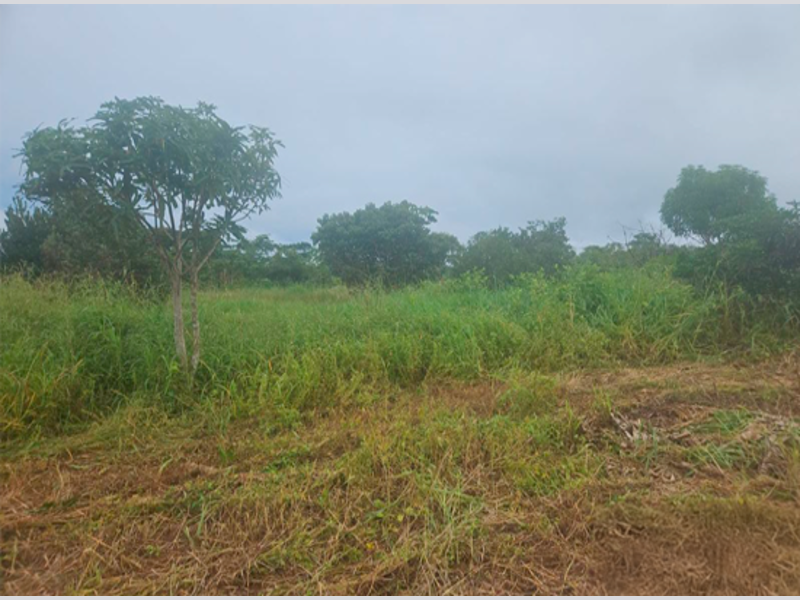 Terreno - Rurópolis - PA, localizado em Rurópolis - PA, bairro Aeroporto
