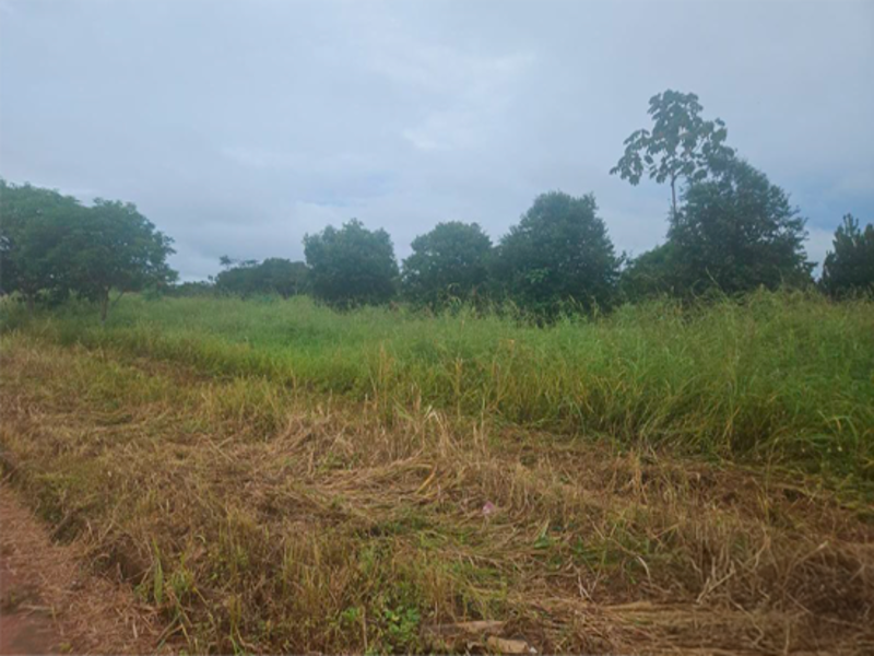 Terreno - Rurópolis - PA, localizado em Rurópolis - PA, bairro Aeroporto