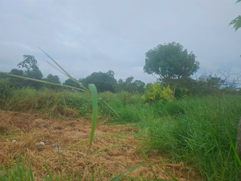 Terreno - Rurópolis - PA, localizado em Rurópolis - PA, bairro Aeroporto