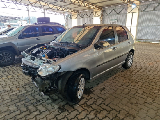 Fiat Palio ELX FLEX 2006 2006 Gas/Alc