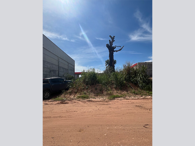 Imagem do imóvel Terreno - Novo Progresso - PA
