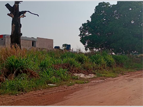 Terreno - Novo Progresso - PA