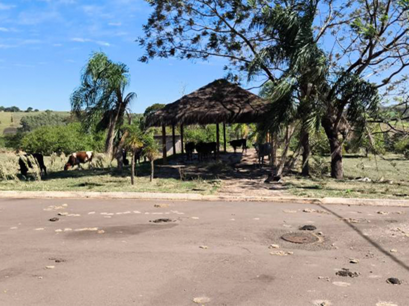 Loteamento - Pérola - PR, localizado em Pérola - PR