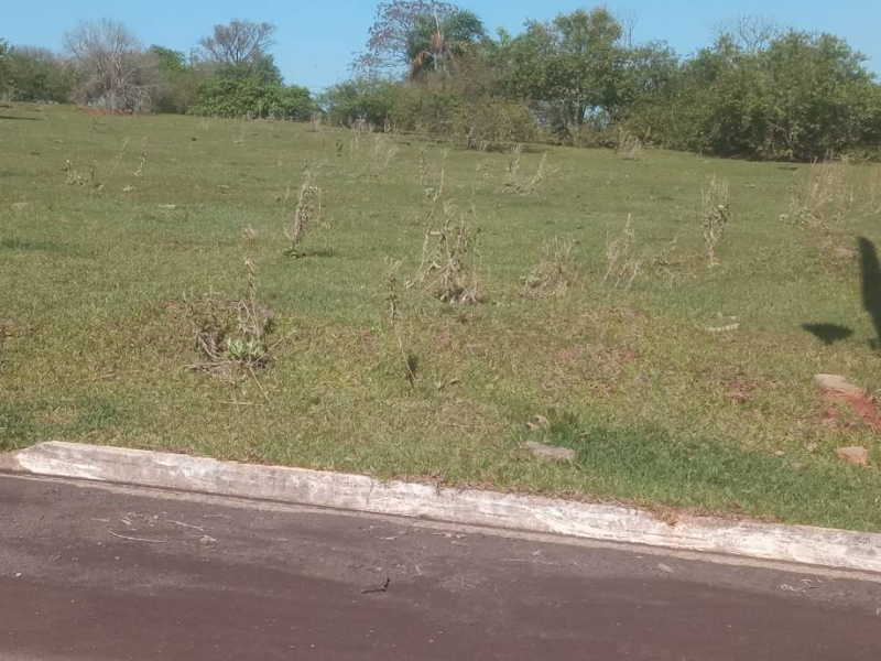 Loteamento - Pérola - PR, localizado em Pérola - PR