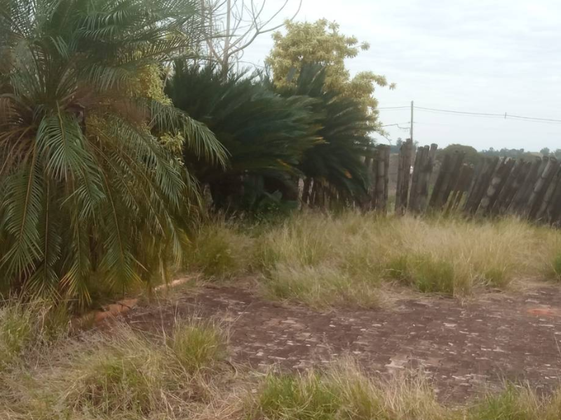 Loteamento - Pérola - PR, localizado em Pérola - PR