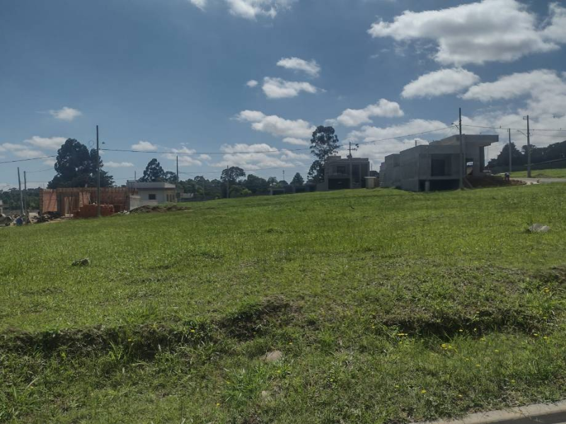 Loteamento - Ponta Grossa - PR, localizado em Ponta Grossa - PR, bairro Colônia Dona Luíza