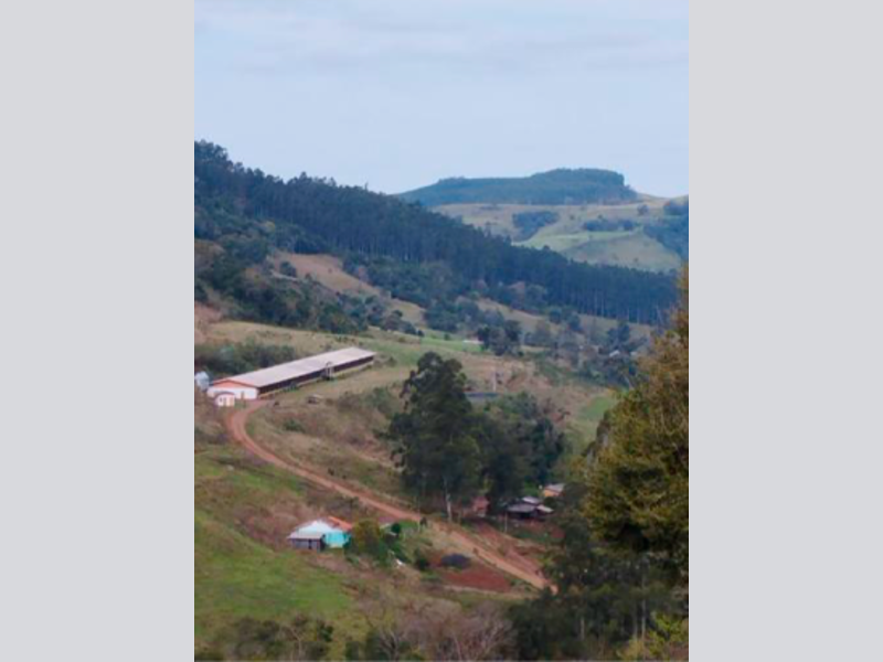 Imagem do imóvel Sítio - Saltinho - SC