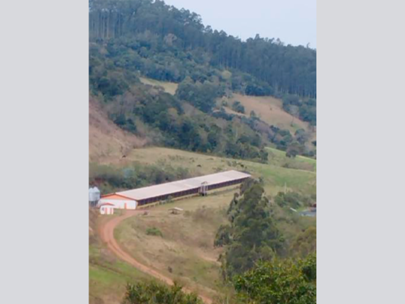 Sítio - Saltinho - SC, localizado em Saltinho - SC