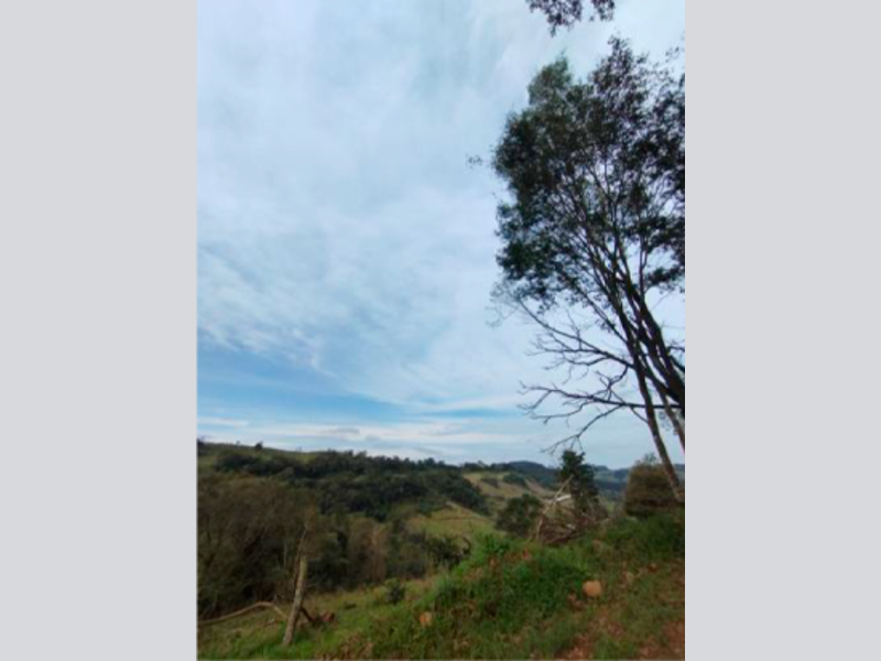 Sítio - Saltinho - SC, localizado em Saltinho - SC