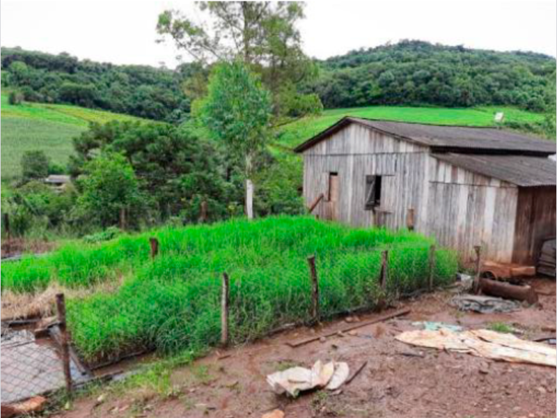 Sítio - Saltinho - SC, localizado em Saltinho - SC