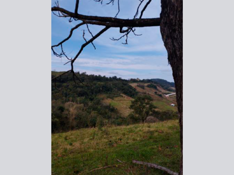 Sítio - Saltinho - SC, localizado em Saltinho - SC