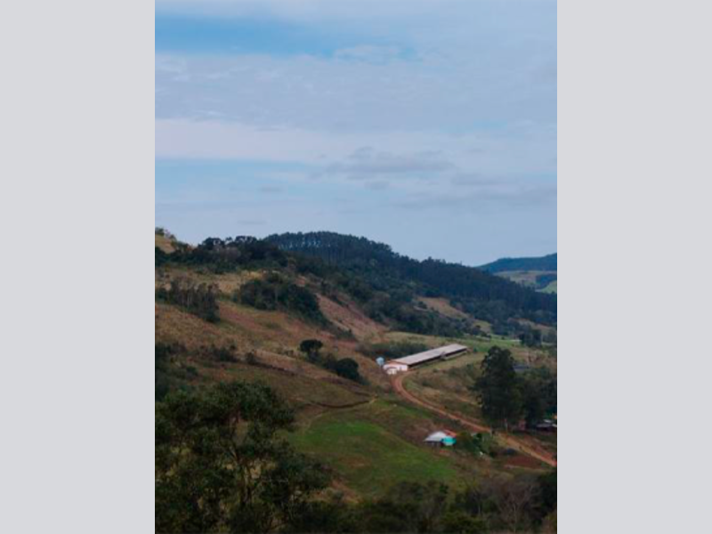 Sítio - Saltinho - SC, localizado em Saltinho - SC
