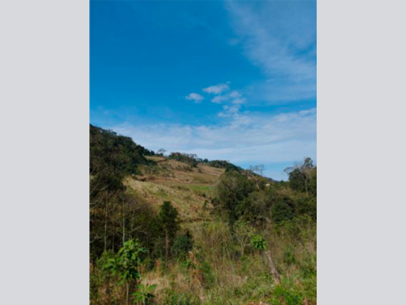 Sítio - Saltinho - SC, localizado em Saltinho - SC